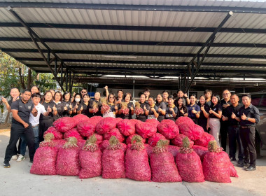 สำนักงานสหกรณ์จังหวัดหนองคายกระจายหอมแดง(ปึ๋ง) ... พารามิเตอร์รูปภาพ 11